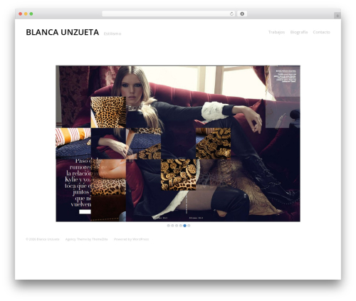 Themezilla Agency WordPress theme - blancaunzueta.com