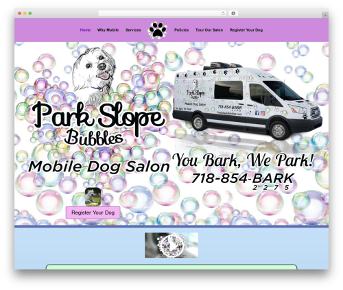 Google maps WordPress plugin - parkslopebubbles.com
