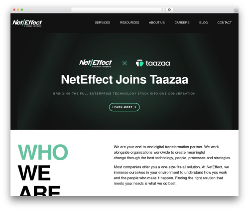 WordPress theme NetEffect - net-effect.com