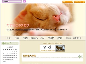 Best WordPress theme たまねこ by CONFIG FINE