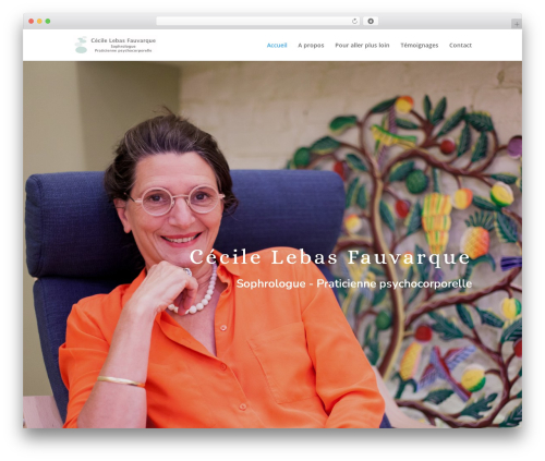 Divi theme WordPress - sophrologie-lille.fr