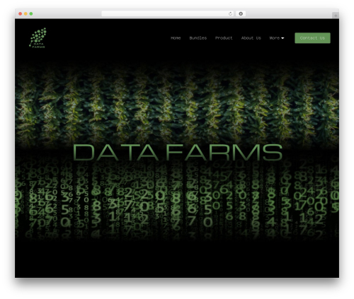 Gradient text widget for elementor WordPress plugin - datafarms.ca