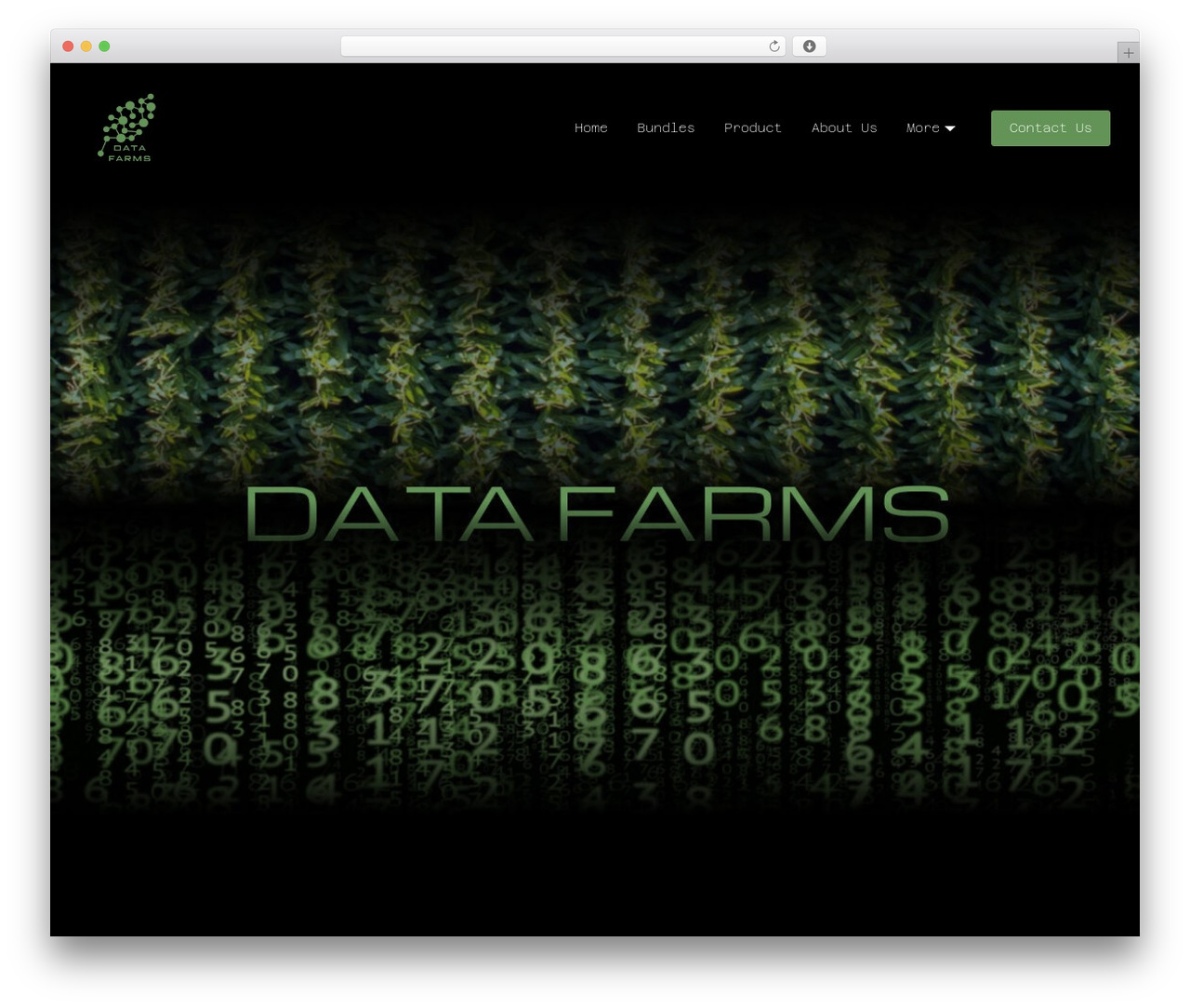 Hello Elementor WordPress theme - datafarms.ca