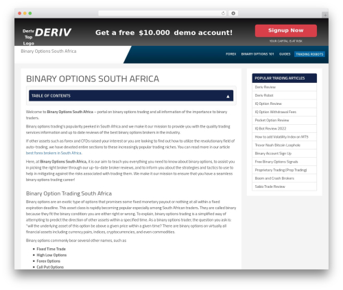 Light WordPress theme - binaryoptions.org.za