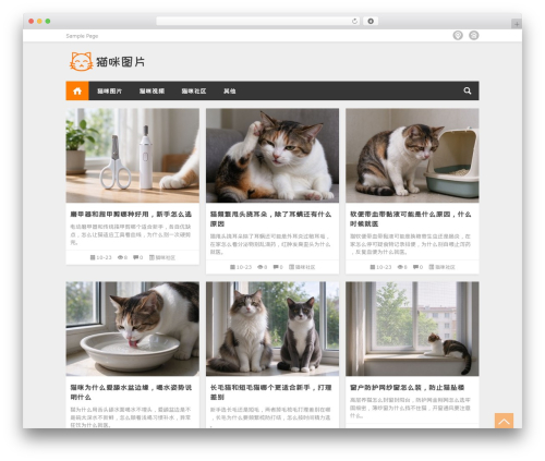 Loostrive WordPress theme - maomitupian.com