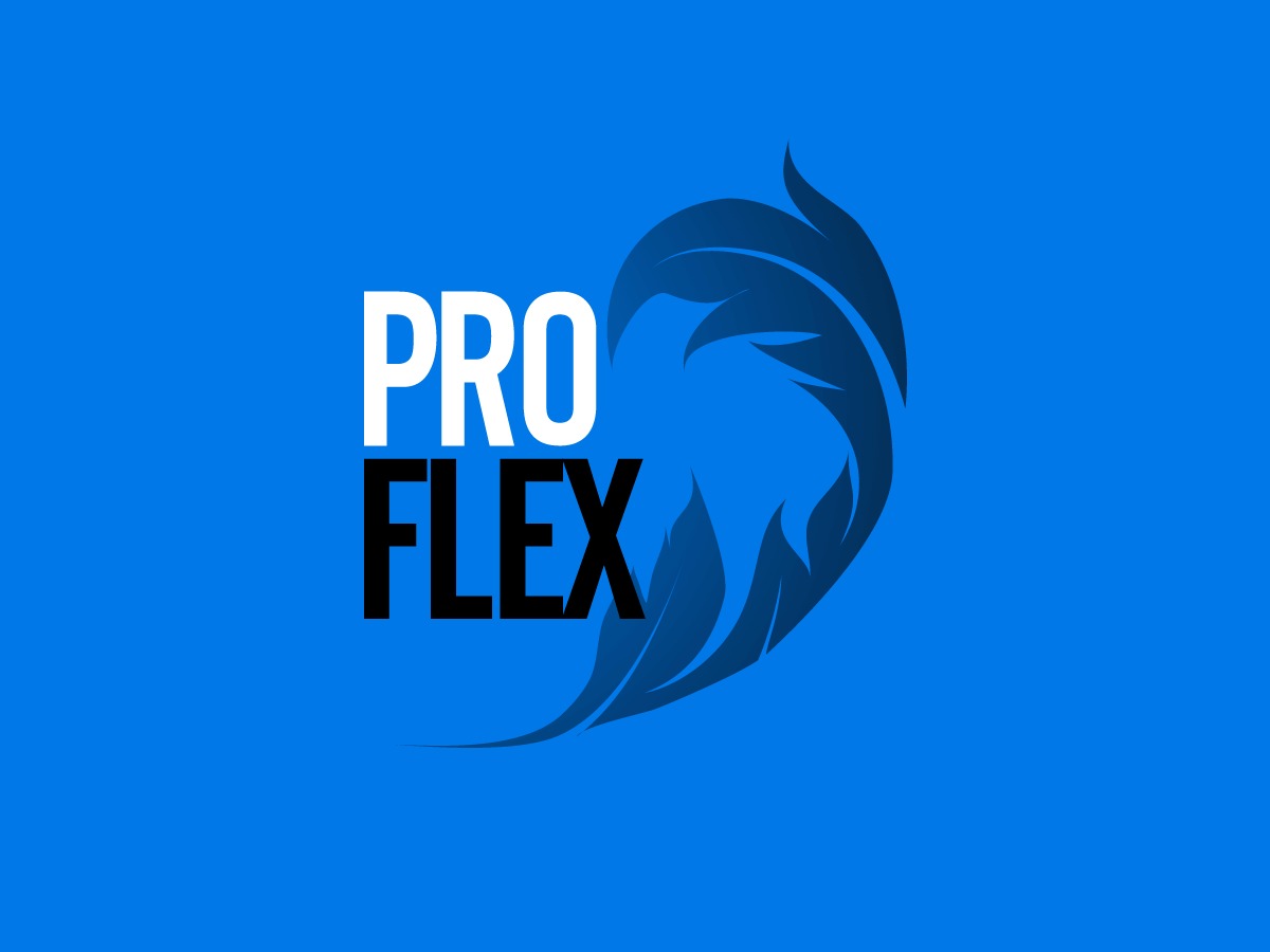 proflex theme WordPress proflex theme WordPress