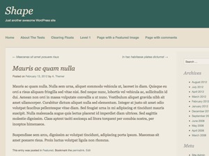Shaper WordPress theme by ThemeShaper