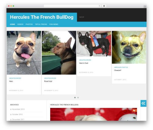Squareread WordPress theme - herculesthefrenchbulldog.com Squareread WordPress theme - herculesthefrenchbulldog.com