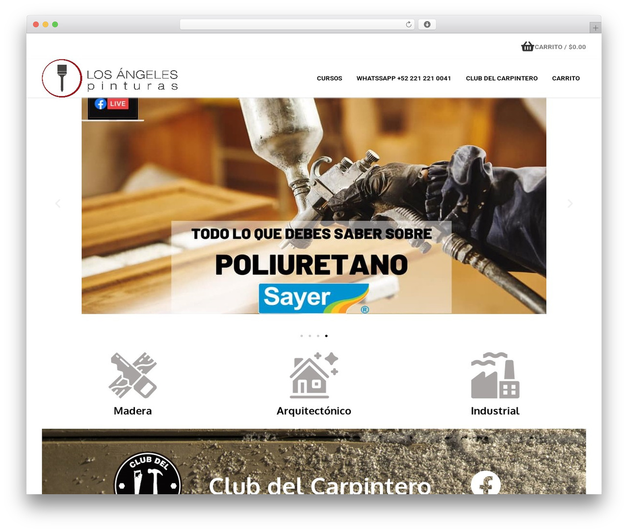 Theme WordPress Customify - pinturaslosangeles.com Theme WordPress Customify - pinturaslosangeles.com
