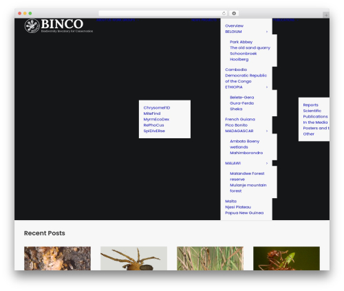 Registrationmagic premium WordPress plugin - binco.eu