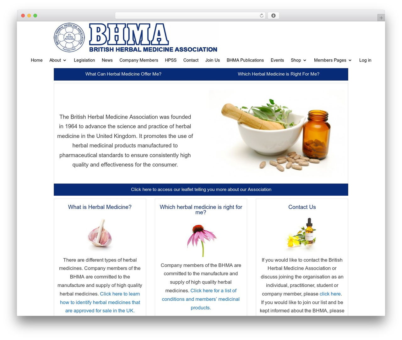 WordPress theme Divi - bhma.info WordPress theme Divi - bhma.info