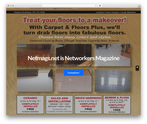 Pl section teamwork WordPress plugin - netmags.net