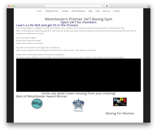 Azonpress WordPress plugin - boxing914.com