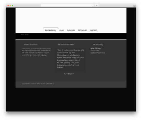 Unique WordPress theme design - bokaeldshow.com