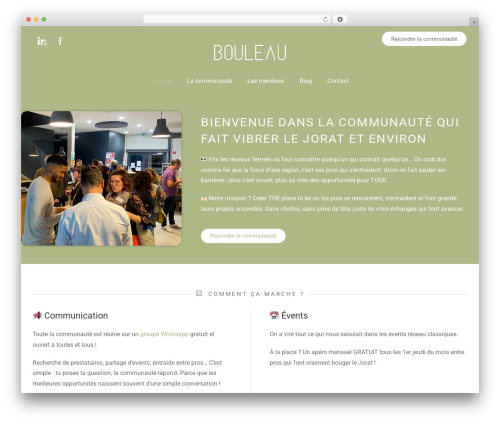 Jet reviews WordPress plugin - bouleau.ch