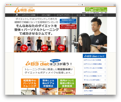 Alive WordPress theme - b3-diet.com
