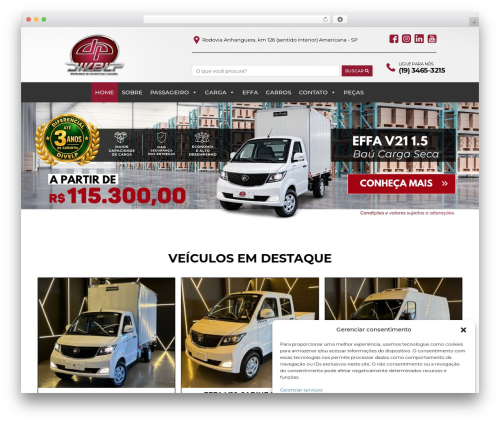 cms WordPress theme design - divelp.com