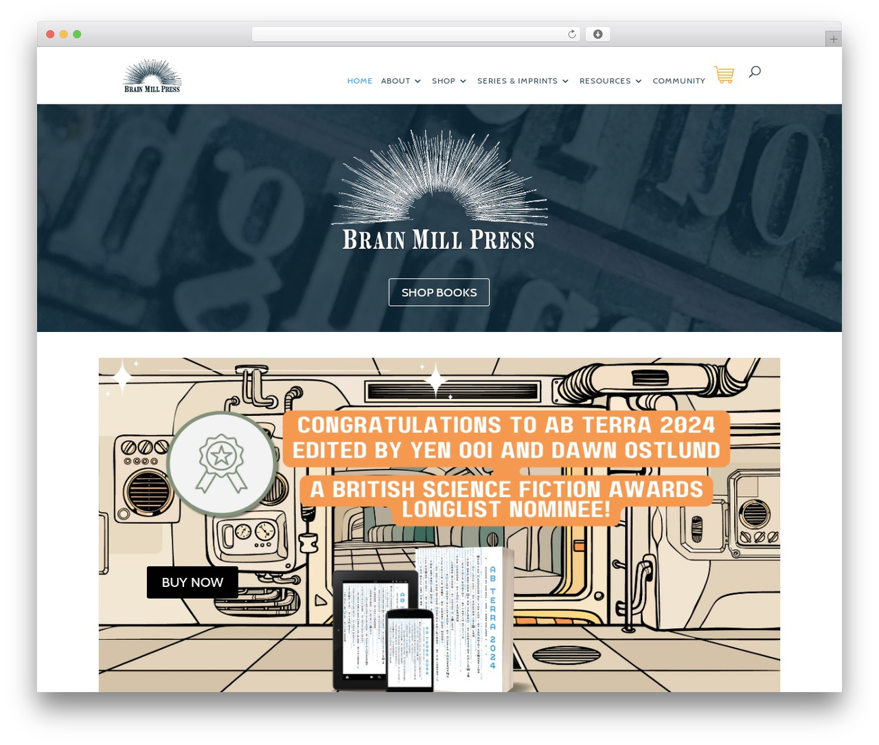 Divi top WordPress theme - brainmillpress.com