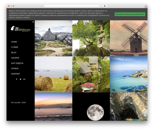 Pinterest Pin It Button For Images (pinterest-pin-it-button-for-images) free WordPress plugin - bogacka.org