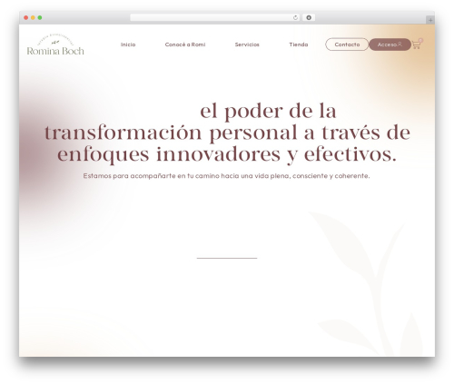 Additional product fields for woocommerce WordPress plugin - romiboch.com