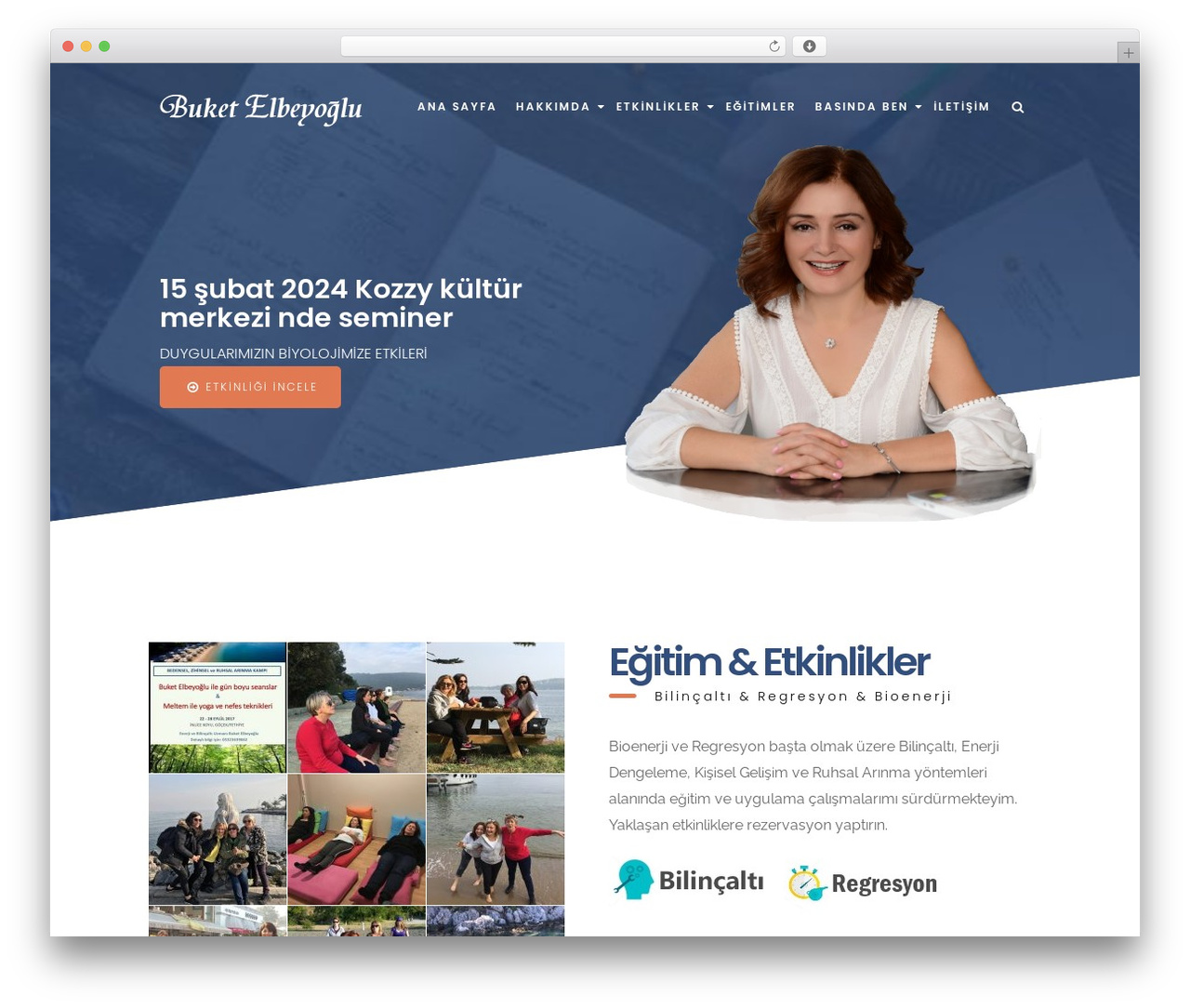 onesolution WordPress website theme - buketelbeyoglu.com