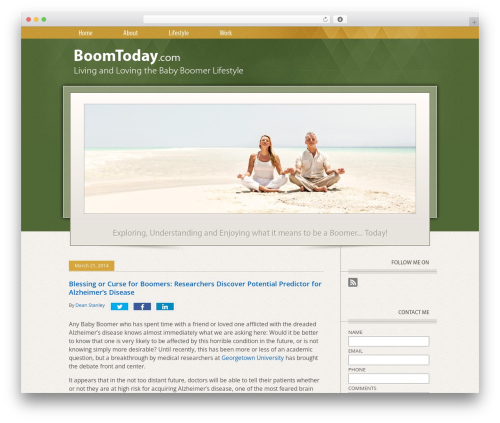 willow WordPress theme - boomtoday.com