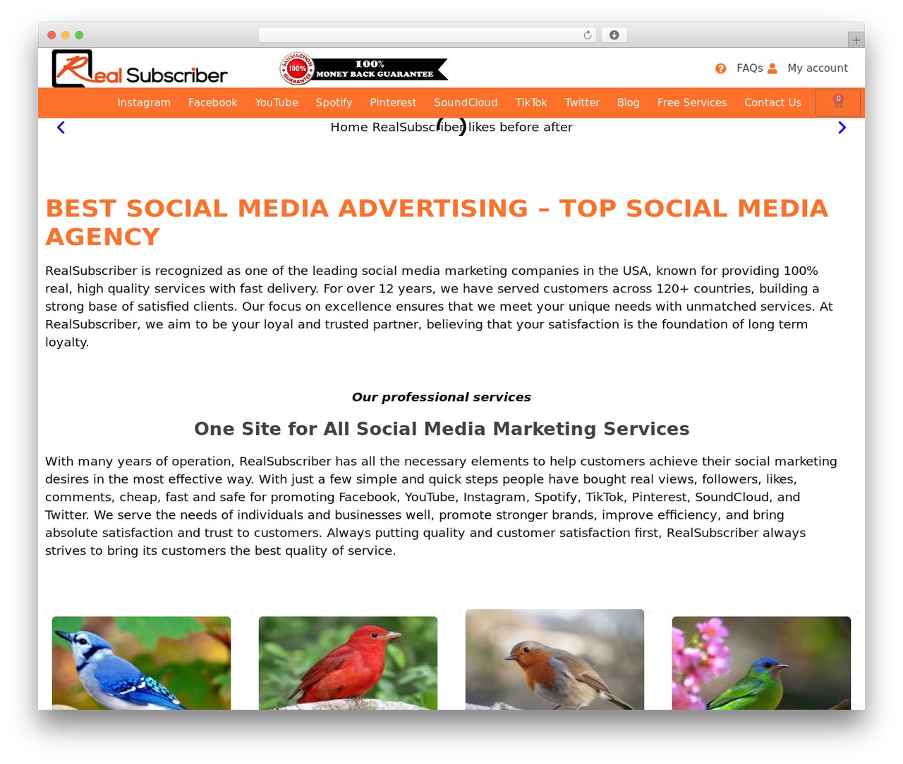WordPress theme RealSubscriber Child Theme - realsubscriber.com WordPress theme RealSubscriber Child Theme - realsubscriber.com