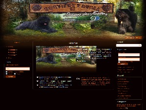 2015bouvier WordPress theme by A&M webdesign