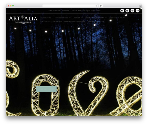 Final tiles grid gallery lite premium WordPress plugin - fleur-deco.com