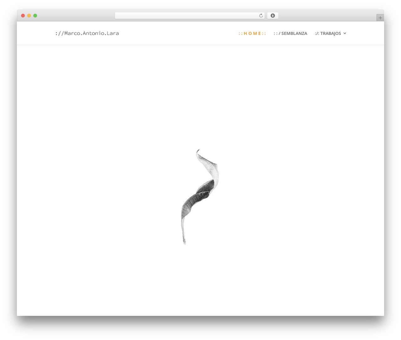 Divi theme WordPress - marcoantoniolara.com