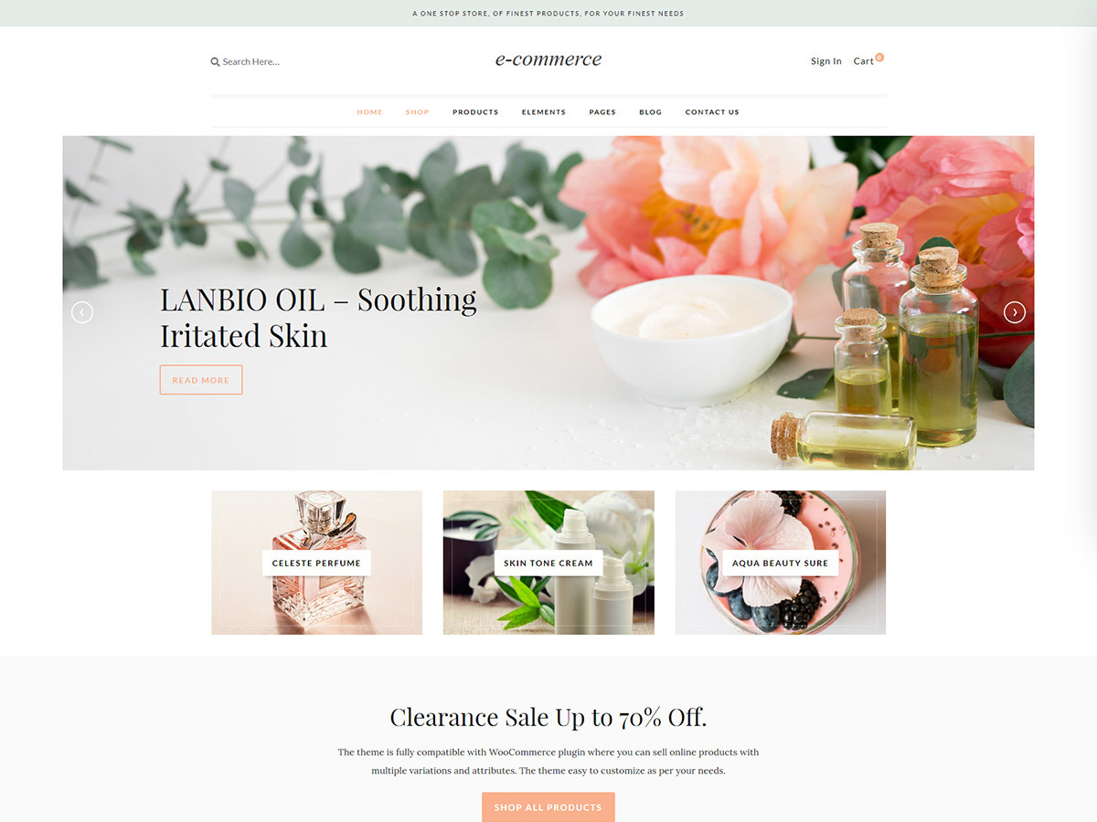 ecommerce WordPress shop theme