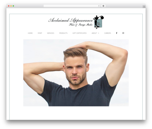Accesspress social icons pro WordPress plugin - acclaimedappearance.com