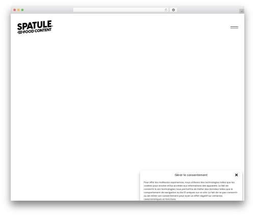 Nayla best WordPress theme - www.spatulefoodcontent.com