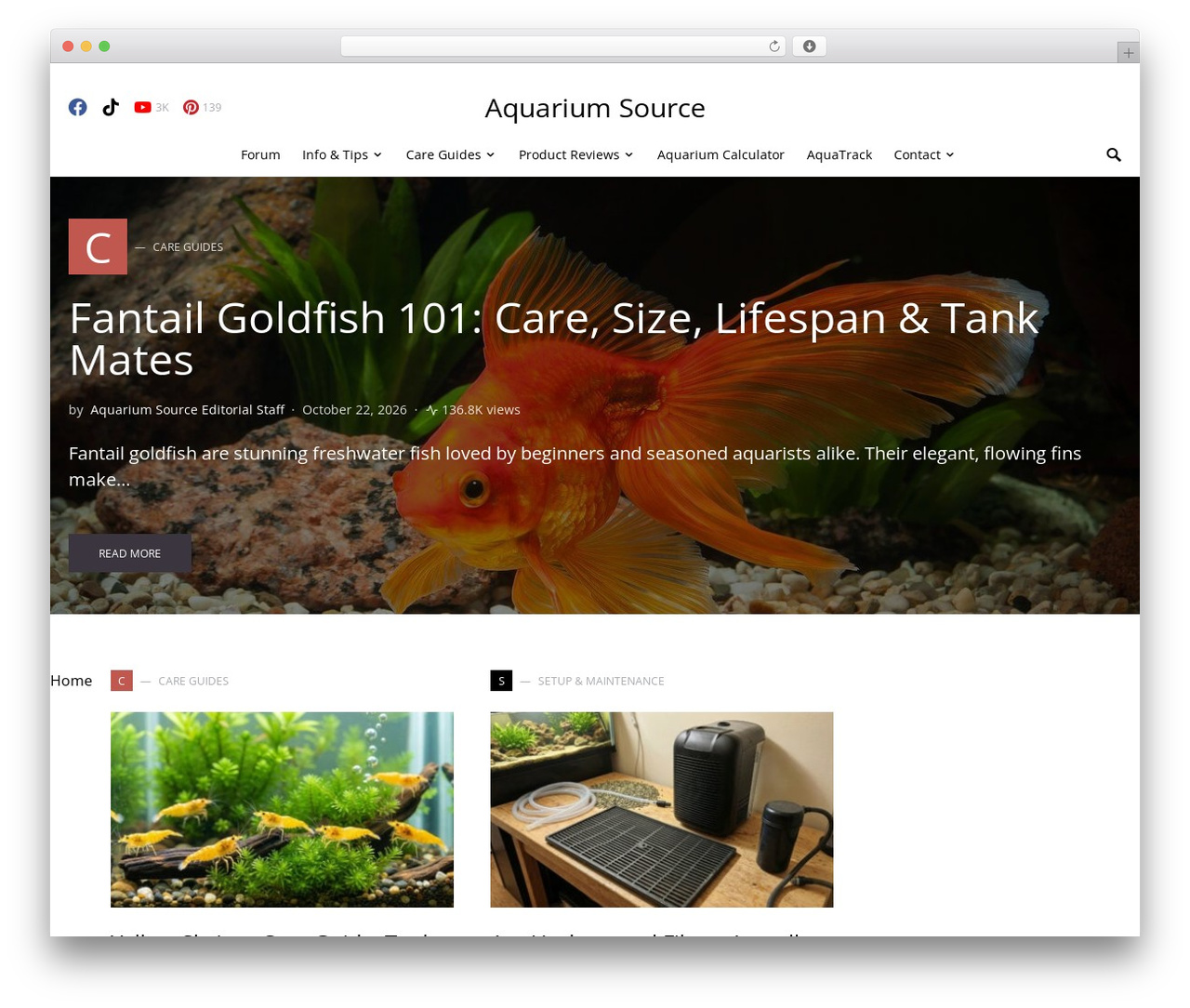 Squaretype Child theme theme WordPress - www.aquariumsource.com Squaretype Child theme theme WordPress - www.aquariumsource.com