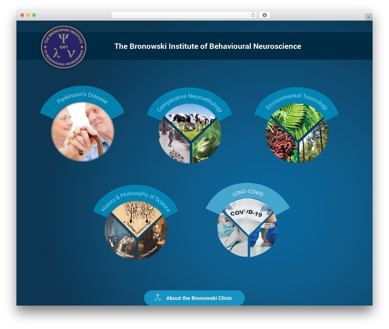 Theme WordPress Mrgraphics - bronowski.org