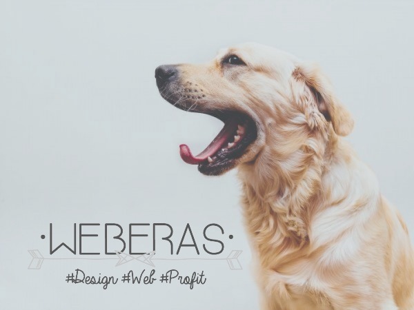 Weberaschild theme WordPress by Melanie