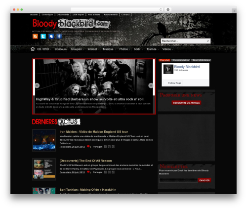 Tdo mini forms WordPress plugin - bloody-blackbird.com