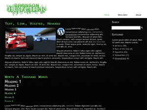 WordPress theme Bronson WordPress theme Bronson