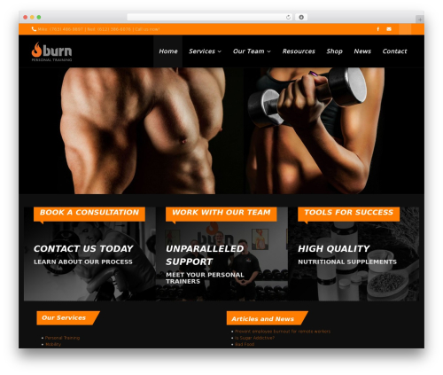 WordPress theme gameplan - burnpt.com