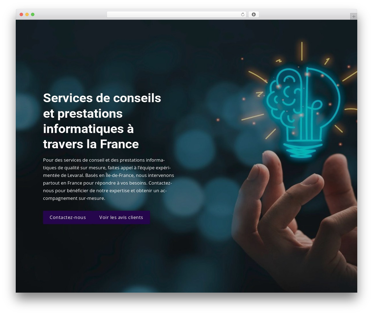 Constructor WP theme - levaral.fr