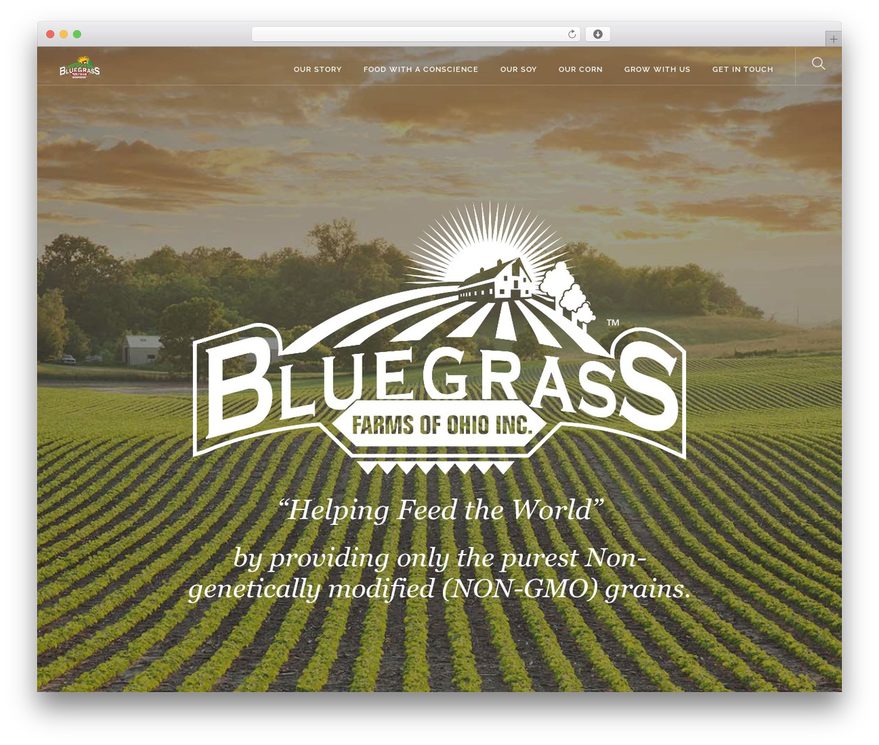 Foundry WordPress theme - bluegrassfarmsohio.com Foundry WordPress theme - bluegrassfarmsohio.com