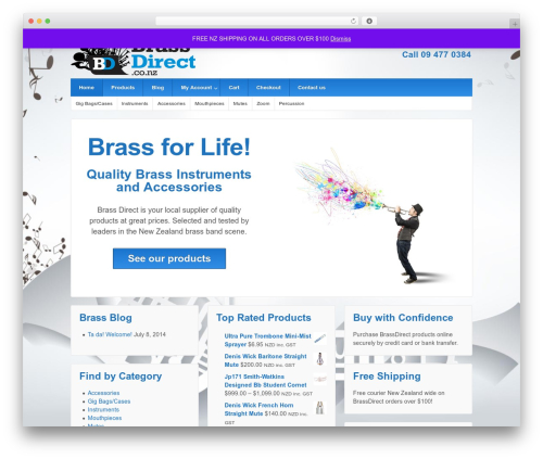 Responsive Child Theme theme WordPress - brassdirect.co.nz