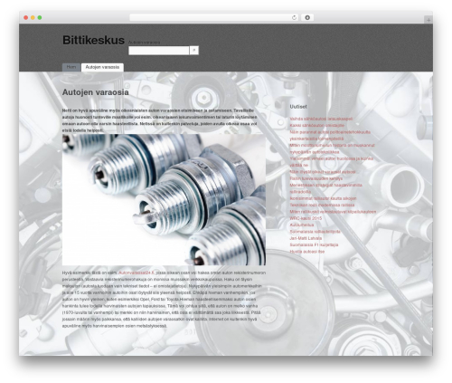 simpleX WordPress website theme - bittikeskus.com