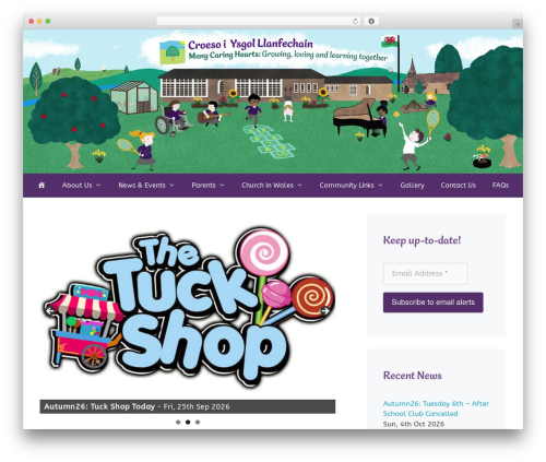 Call to action for pwa WordPress plugin - llanfechainschool.org.uk