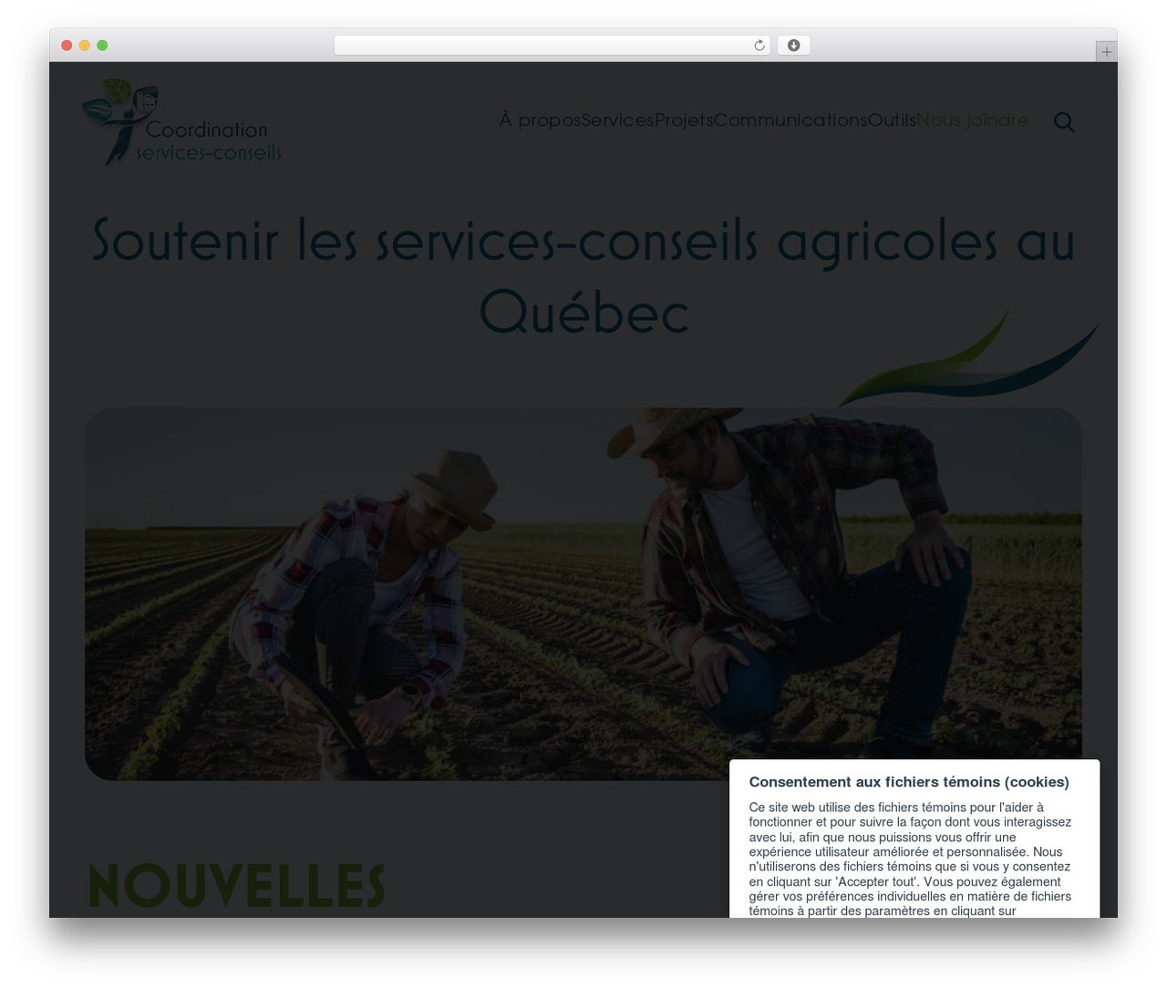 Vortex WordPress theme - coordination-sc.org