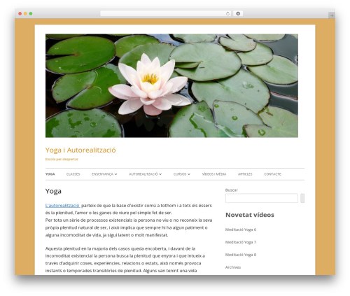 WordPress theme Tiny Framework - autorealitzacio.com