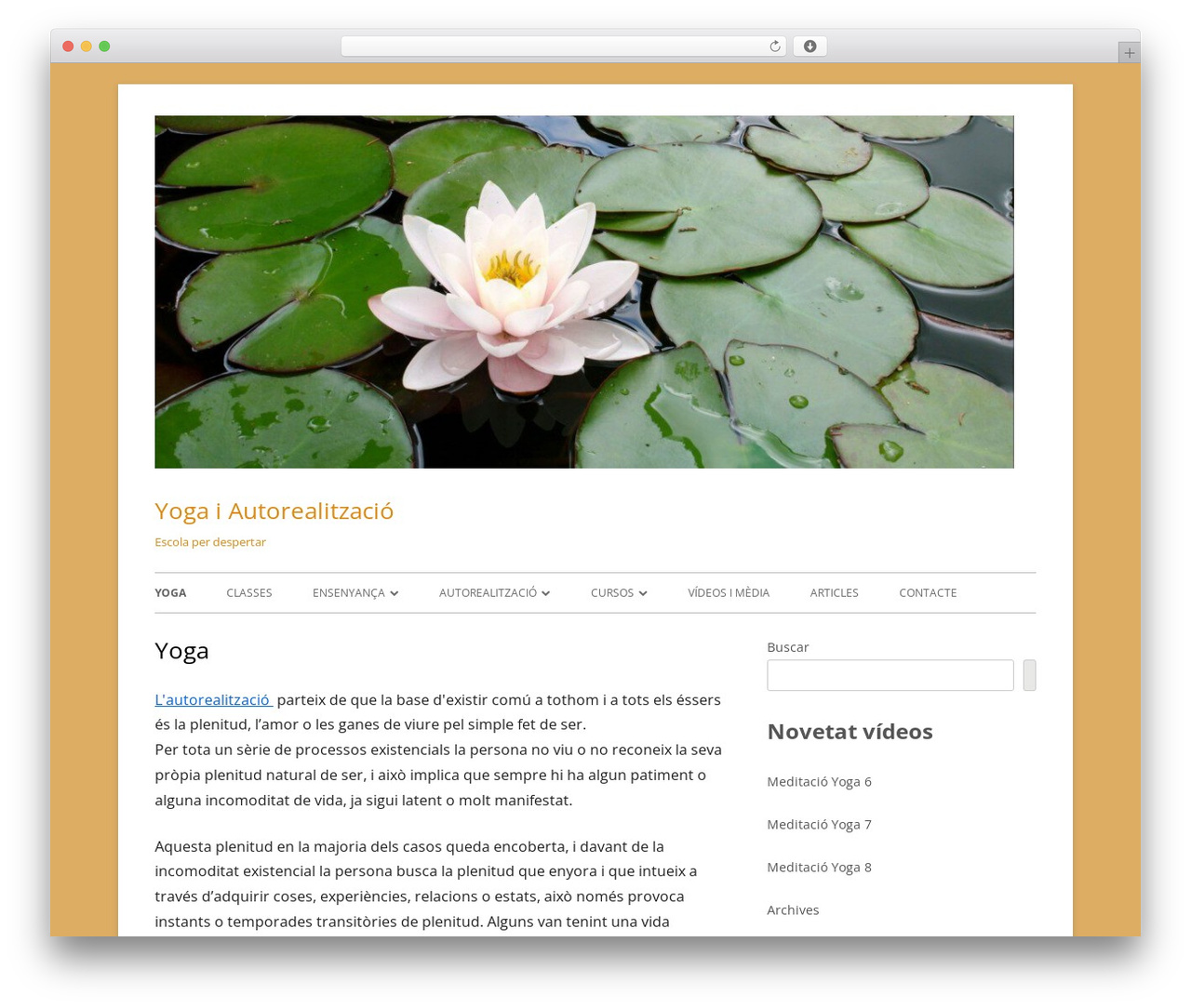 WordPress theme Tiny Framework - autorealitzacio.com WordPress theme Tiny Framework - autorealitzacio.com