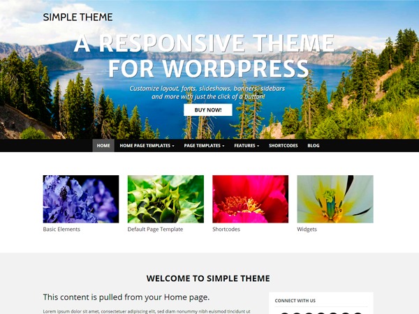 WP Simple BJJSA WordPress theme WP Simple BJJSA WordPress theme