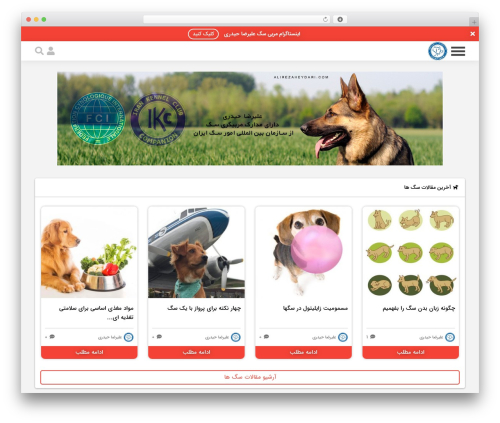 مگاوردپرس theme WordPress - alirezaheydari.com