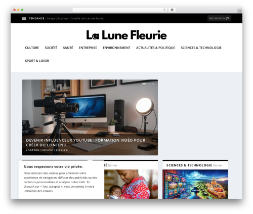 Divi contact form zero spam WordPress plugin - lalunefleurie.com